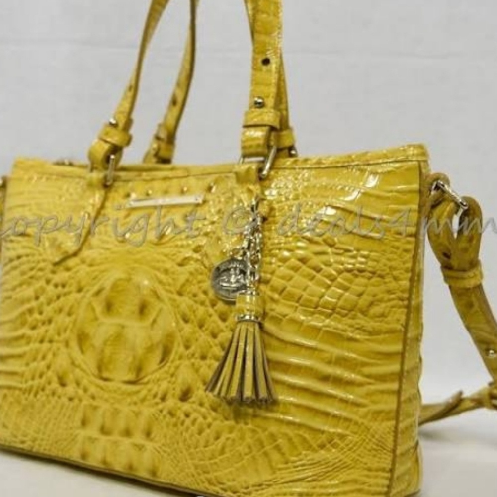 Brahmin mini Asher Saffron Melbourne